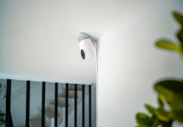 pexels-jakubzerdzicki-24783389